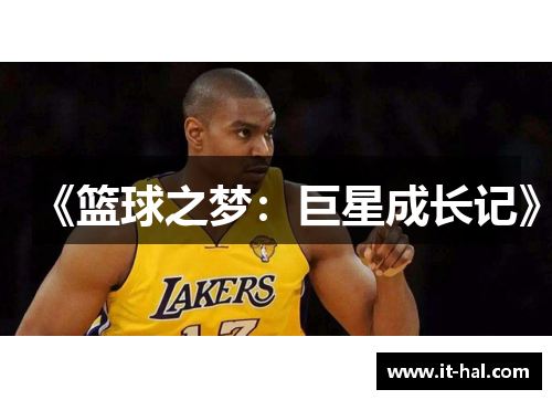 《篮球之梦：巨星成长记》